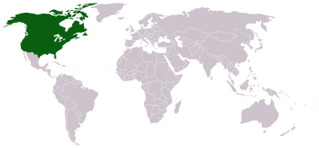 File:United north america.png - Wikipedia File:United north america.png - Wikipedia