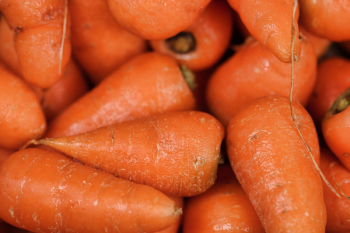 Fill the Frame Photography of Carrots Fill the Frame Photography of Carrots