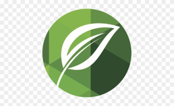 Final Logs Main Transpaprent Leaf - Contract Final Logs Main Transpaprent Leaf - Contract