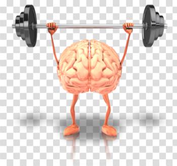 Financial planning brain | Chicago Financial Advisor Insights
