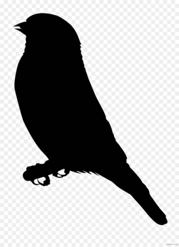 Finches Clip art Scalable Vector Graphics Free content - black and white raven drawings 