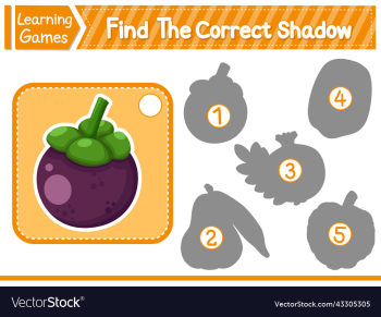 find the correct shadow find and match the find the correct shadow find and match the