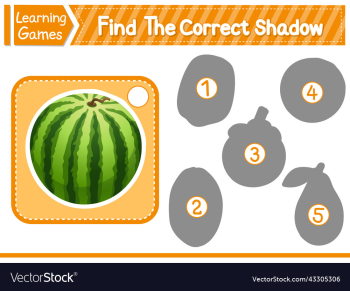 find the correct shadow find and match the find the correct shadow find and match the