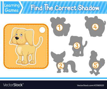 find the correct shadow find and match the find the correct shadow find and match the