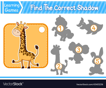 find the correct shadow find and match the find the correct shadow find and match the