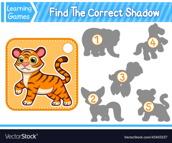 find the correct shadow find and match the find the correct shadow find and match the