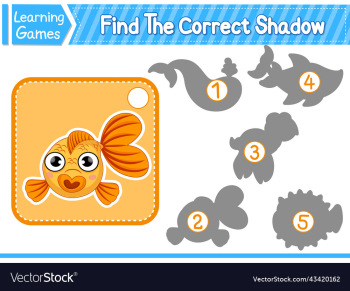 find the correct shadow find and match the find the correct shadow find and match the