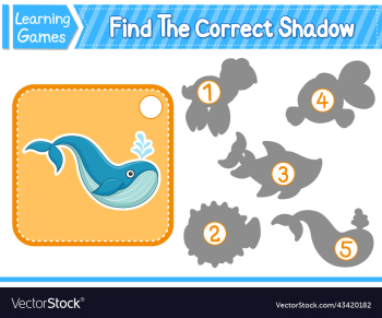 find the correct shadow find and match the find the correct shadow find and match the