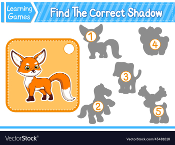 find the correct shadow find and match the find the correct shadow find and match the