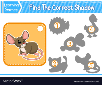 find the correct shadow find and match the find the correct shadow find and match the