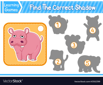 find the correct shadow find and match the find the correct shadow find and match the