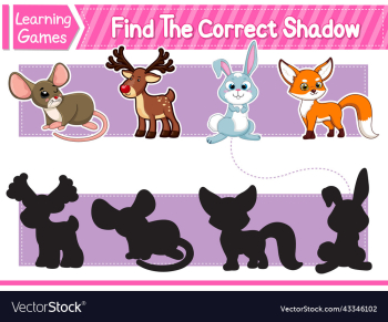 find the correct shadows of cute cartoon animals find the correct shadows of cute cartoon animals