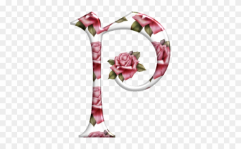 Find This Pin - Rose