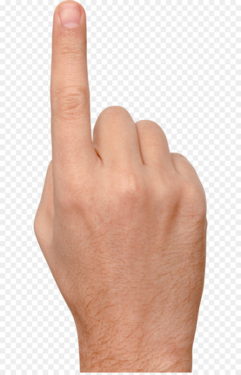 Finger Icon - Finger touch PNG image Finger Icon - Finger touch PNG image