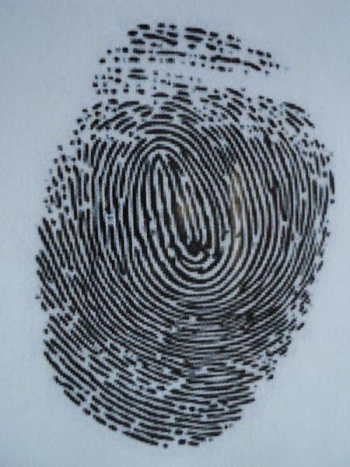 finger print.jpg finger print.jpg