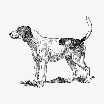 Finnish Hound dog hand drawn | Free Vector - rawpixel