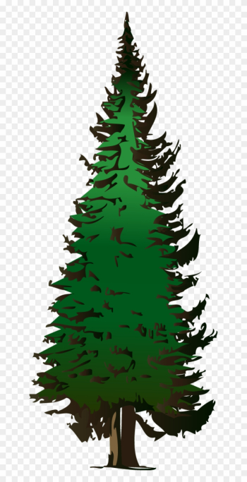 Fir - Clipart - Fir Tree Clip Art Fir - Clipart - Fir Tree Clip Art