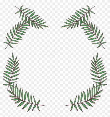 Fir Leaf Pine - Pine Fir Leaf Pine - Pine