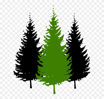 Fir Tree Clipart Conifer - Pine Tree Silhouette Fir Tree Clipart Conifer - Pine Tree Silhouette