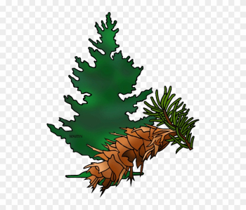 Fir Tree Clipart Douglas Fir - State Tree Of Oregon Fir Tree Clipart Douglas Fir - State Tree Of Oregon