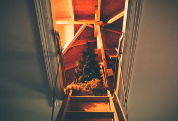 Fir Tree Decor Fir Tree Decor