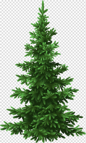 Fir Tree Pine Christmas, fir-tree transparent background PNG clipart Fir Tree Pine Christmas, fir-tree transparent background PNG clipart