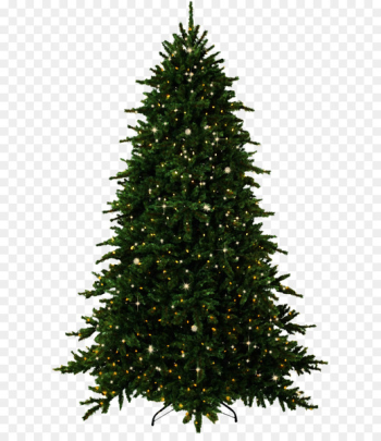 Fir Tree Pine Christmas - tree Fir Tree Pine Christmas - tree