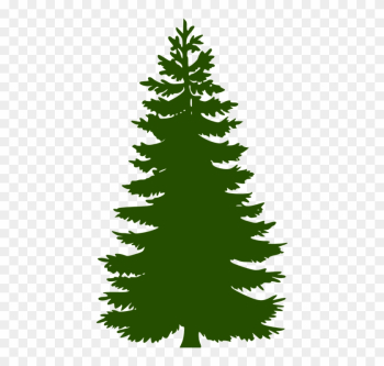 Fir Tree Png - Green Pine Tree Silhouette Fir Tree Png - Green Pine Tree Silhouette