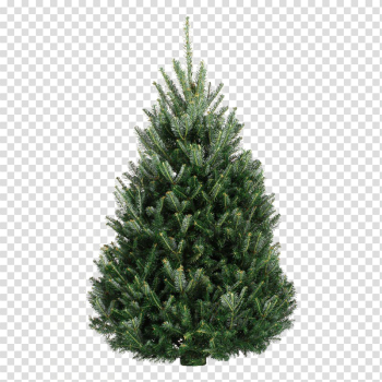 Fir-Tree Transparent Images Fir-Tree Transparent Images