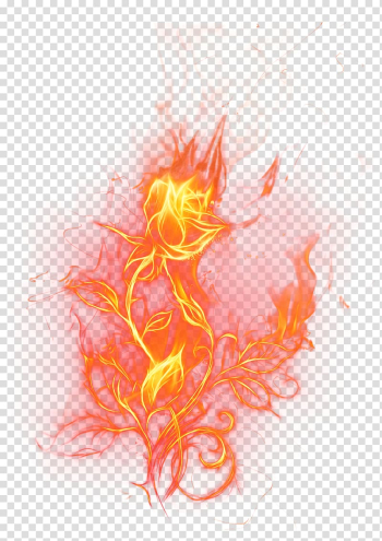 Fire , Fire Rose , fire illustration transparent background PNG clipart Fire , Fire Rose , fire illustration transparent background PNG clipart