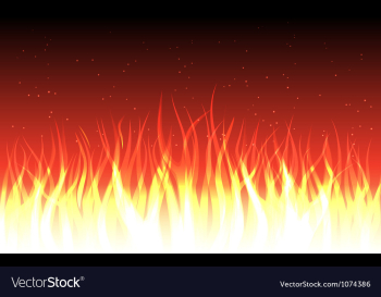 Fire vector image Fire vector image