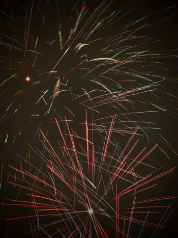 firework display during nighttime firework display during nighttime