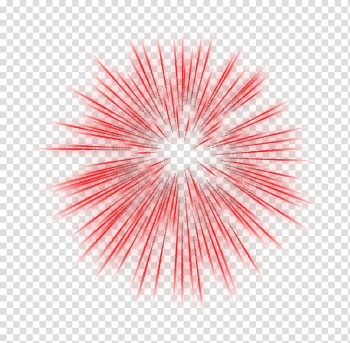 Fireworks Animation , fireworks transparent background PNG clipart Fireworks Animation , fireworks transparent background PNG clipart