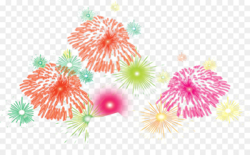 Fireworks - Color fireworks Fireworks - Color fireworks