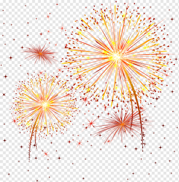 Fireworks, Fireworks, fireworks, holidays, symmetry, flower png