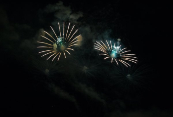 Fireworks In Night Sky Fireworks In Night Sky