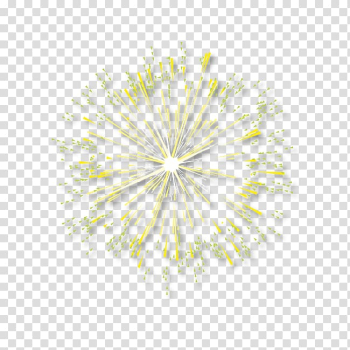 Fireworks Love, Fireworks,Fireworks transparent background PNG clipart Fireworks Love, Fireworks,Fireworks transparent background PNG clipart