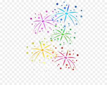 Fireworks, New Year, New Years Eve, Line, Plant PNG Fireworks, New Year, New Years Eve, Line, Plant PNG