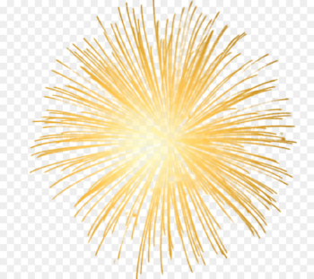Fireworks New Year's Eve Clip art - fireworks Fireworks New Year's Eve Clip art - fireworks