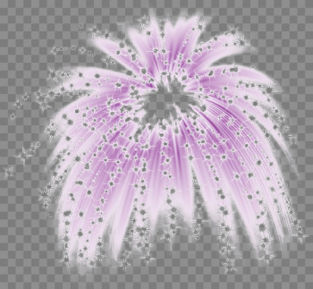 Fireworks PNG Image Background Fireworks PNG Image Background