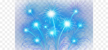 Fireworks Tangyuan Traditional Chinese holidays Chinese New Year - Fireworks 
