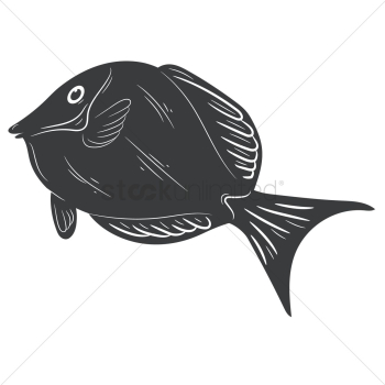 Fish Fish