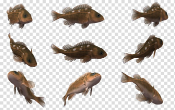 Fish Animal , 3d cartoon transparent background PNG clipart Fish Animal , 3d cartoon transparent background PNG clipart
