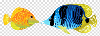 Fish Aquatic animal Illustration, fish transparent background PNG clipart Fish Aquatic animal Illustration, fish transparent background PNG clipart