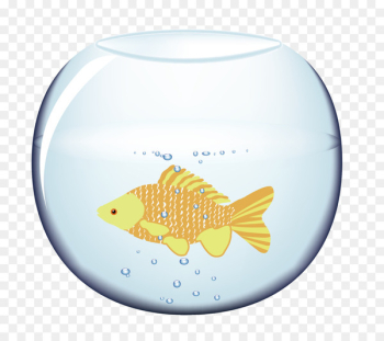 Fish Blue Orange Aquarium - Aquarium fish Fish Blue Orange Aquarium - Aquarium fish