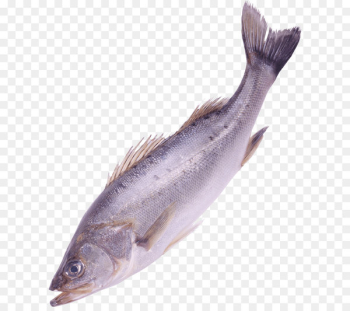 Fish Clip art - Fish Png Image Fish Clip art - Fish Png Image