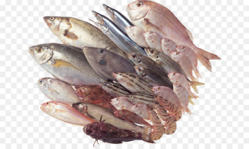 Fish fillet Seafood Clip art - fish Fish fillet Seafood Clip art - fish