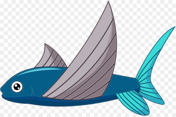 fish fin fish azure wing fish fin fish azure wing