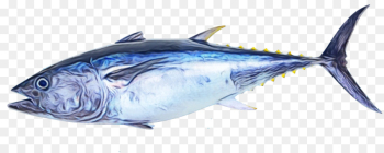 fish fish atlantic blue marlin fish products atlantic bluefin tuna fish fish atlantic blue marlin fish products atlantic bluefin tuna