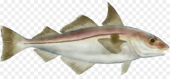fish fish fish products haddock cod fish fish fish products haddock cod